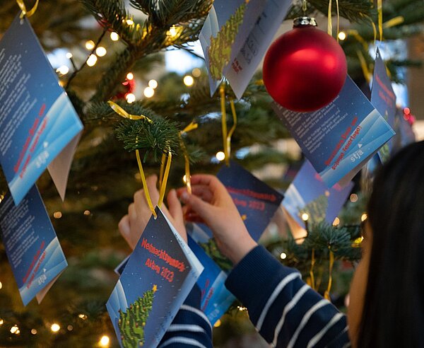 Eine Schülerin des Horts der Grundschule am Wasserturm hängt im Rathausfoyer einen Wunschzettel an einen Zweig des Weihnachtsbaumes