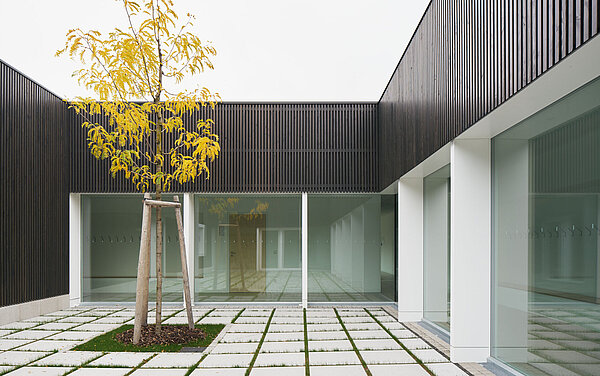 Blick vom Innenhof auf das Rasenpflaster und einen frisch gepflanzten Baum, dahinter ein Teil der dunkelgrauen Holzlattenfassade mit großen Fenstern und weißen Rahmen.