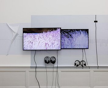 kostenlose Führung durch die aktuelle Ausstellung