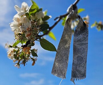 Aufnahme aus dem Garten der Religionen Karlsruhe 