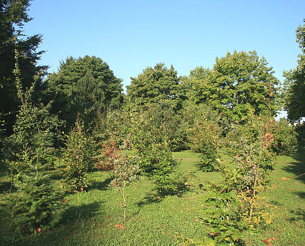 Grabareal Friedpark Karlsruhe®