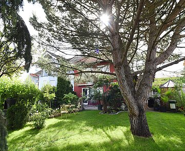 Ein Baum auf einem Rasen mit einem roten haus im Hintergrund