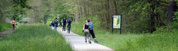 Abbildung Skater am Waldrand.