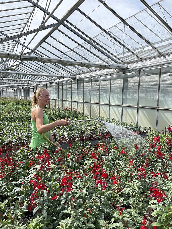 Junge Frau gießt Blumen