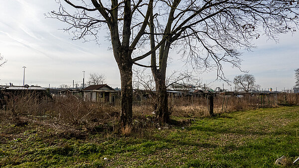 Blick auf ein städtisches Brachland