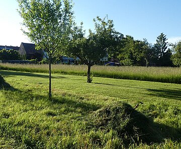 Naturnaher Garten