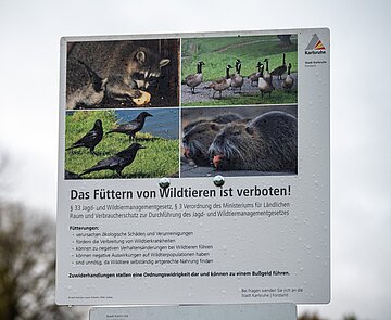 Schild mit der Aufschrift " Das Füttern von Wildtieren ist verboten"