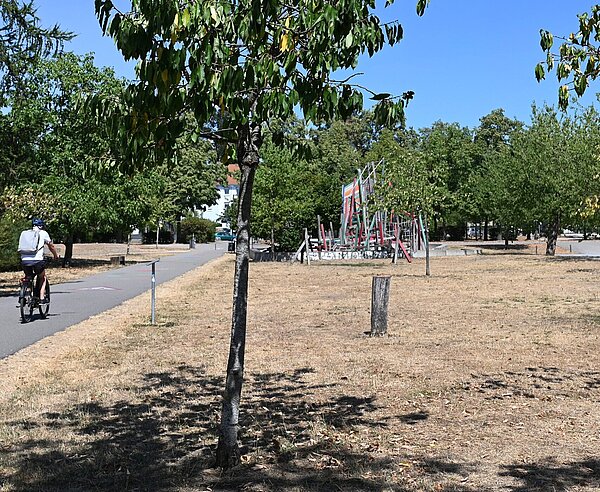 Deutlich sichtbar waren die trockenen Rasenflächen, die sich jedoch erfahrungsgemäß nach Regenfällen wieder gut erholen.