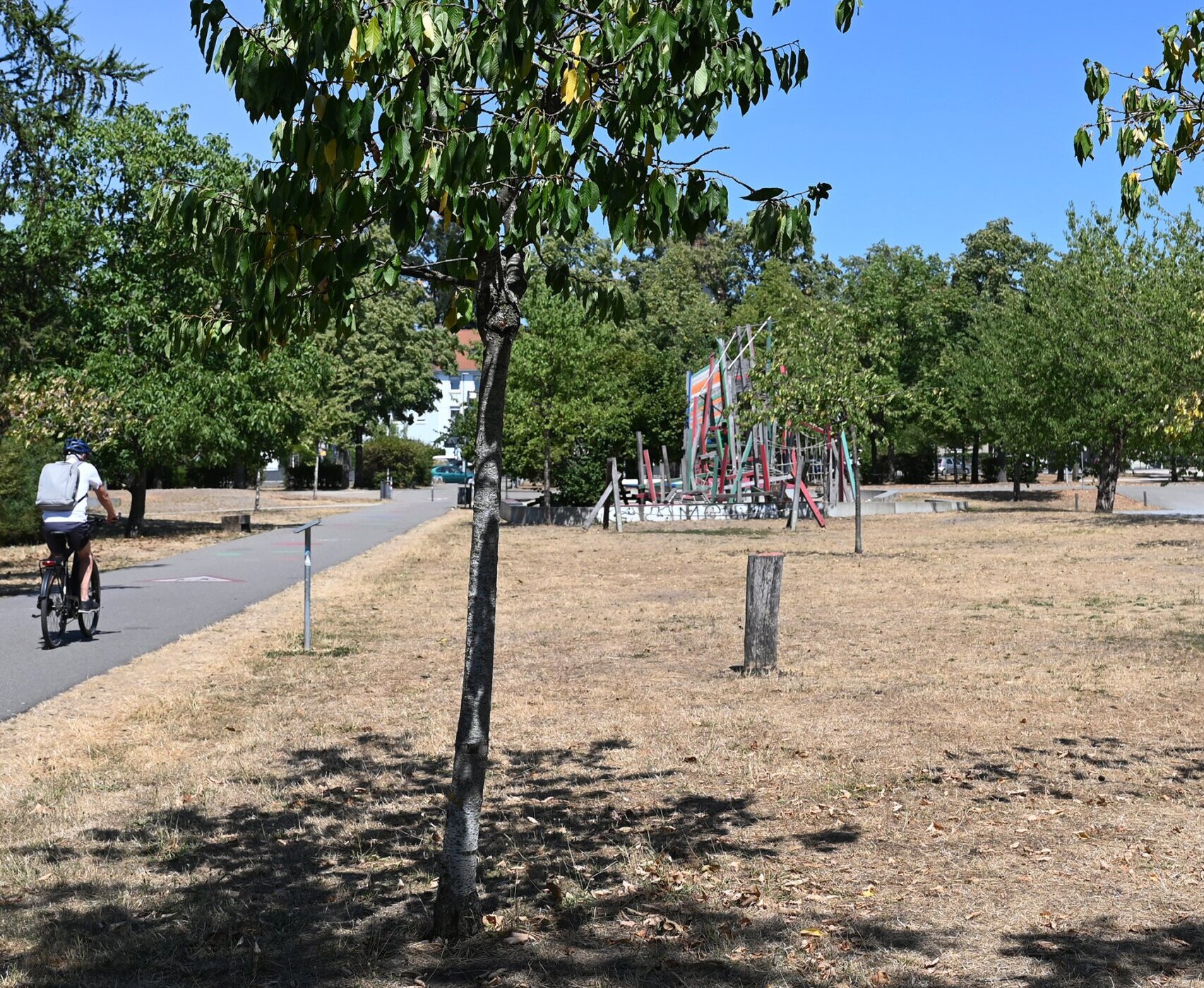 Deutlich sichtbar waren die trockenen Rasenflächen, die sich jedoch erfahrungsgemäß nach Regenfällen wieder gut erholen.