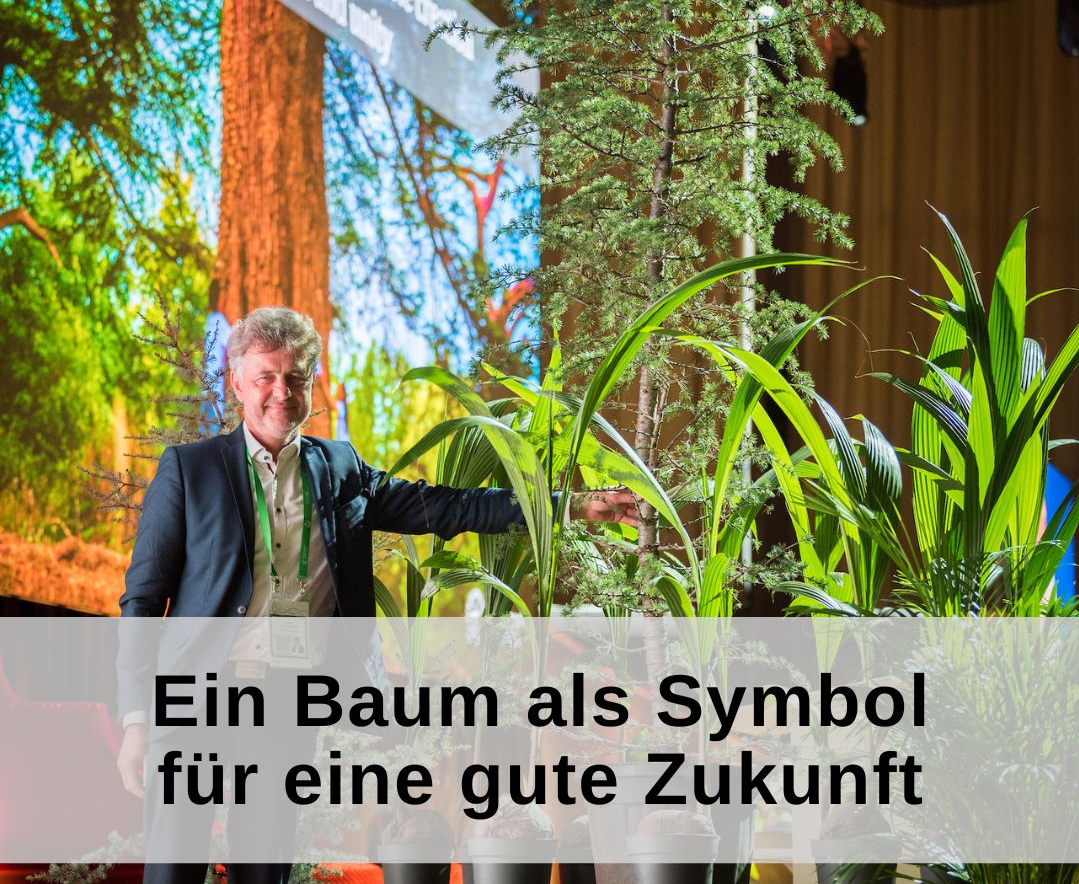 Oberbürgermeister Mentrup hält mit einer Hand den Stamm eines Baumes