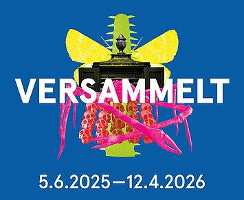 Sonntagsführung: VERSAMMELT