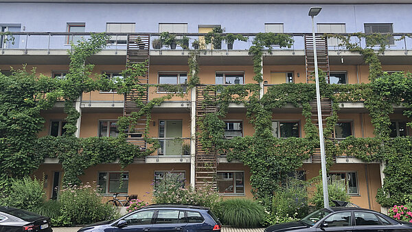 Fassadenbegrünung in der Durmersheimer Strasse