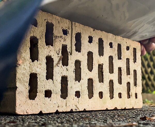 Lochziegelstein zur Bekämpfung der inavasiven Ameisenart Tapinoma Magnum