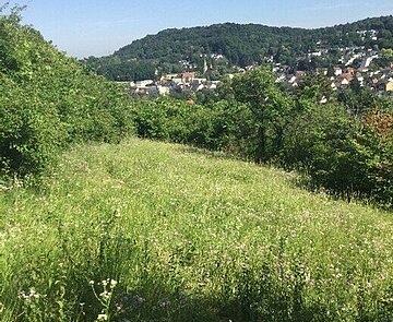 Biotopverbund