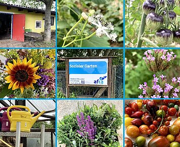 Tag der offenen Tür im Sozialen Garten