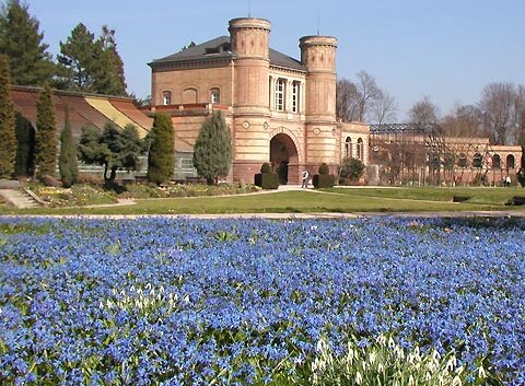 Das Bild zeigt den Torbogenbau des Botanischen Gartens hinter einer Frühlingswiese. 