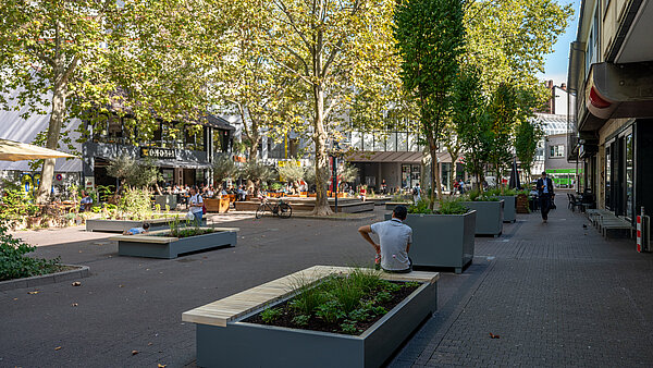 Passagehof begrünt 013