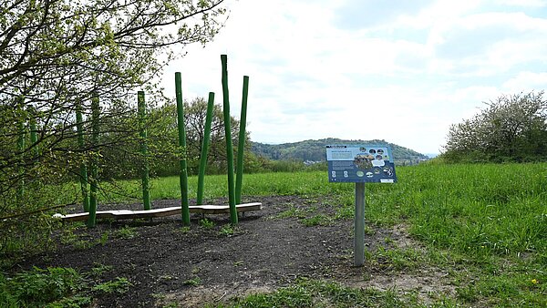 Biodiversitätspfad_Grötzingen