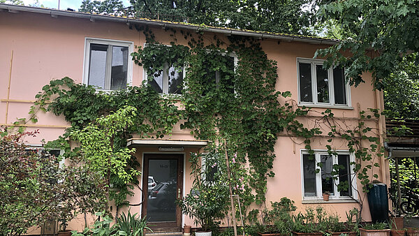 Mit wildem Wein berankte Fassade in der Nordstadt