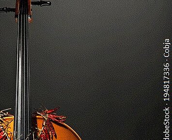 Violoncellorezital
