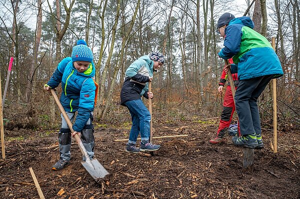 Baumpflanzaktion 2025/26 - 02