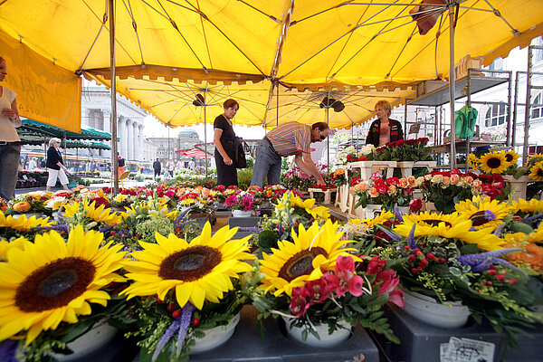Blumenmarkt Marktplatz