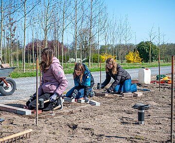 Hier grenzen beim Girls' Day im Gartenbauamt Schülerinnen eine Rasenfläche ab, indem sie Pflastersteine in den Boden einbringen, ausgerichtet an einer Schnur. 