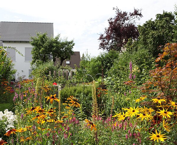 Offene Pforte: Siedlerstraße