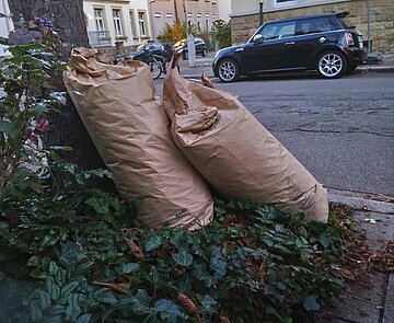 Blick auf Säcke mit Laub- und Gartenabfällen, die an einen Baum lehnen.