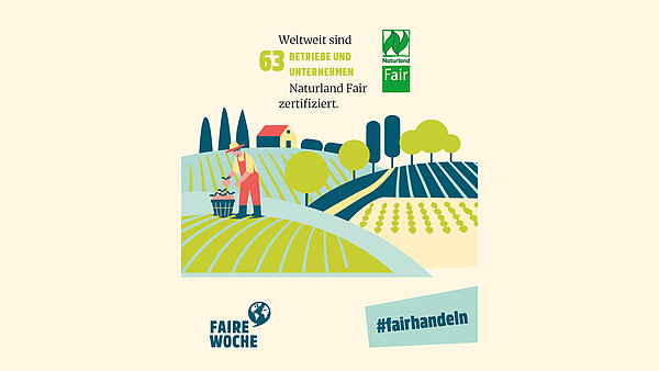 Grafik weltweit sind 63 Betriebe und Unternehmen Naturland Fair zertifiziert.