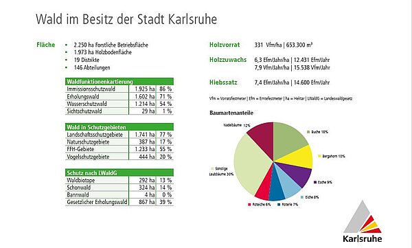 Abbildung mit Zahlen und Fakten zum Wald