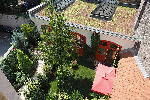 Das Bild zeigt einen begrünten Innenhof, sowie ein begrüntes Atelier.