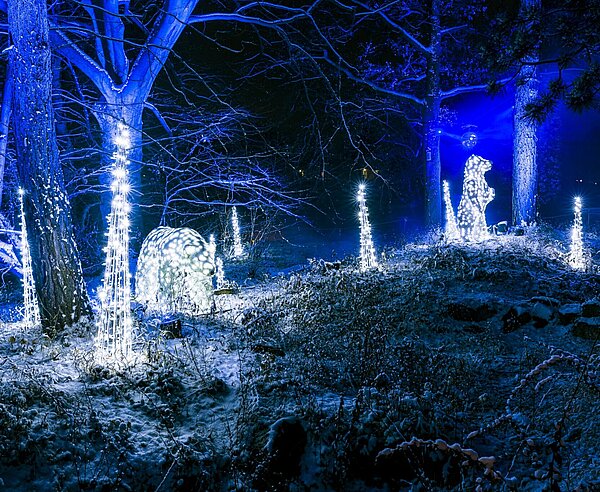 Christmas Garden lässt in der dunklen Jahreszeit Parks und Gärten erstrahlen (Archivbild aus Berlin).