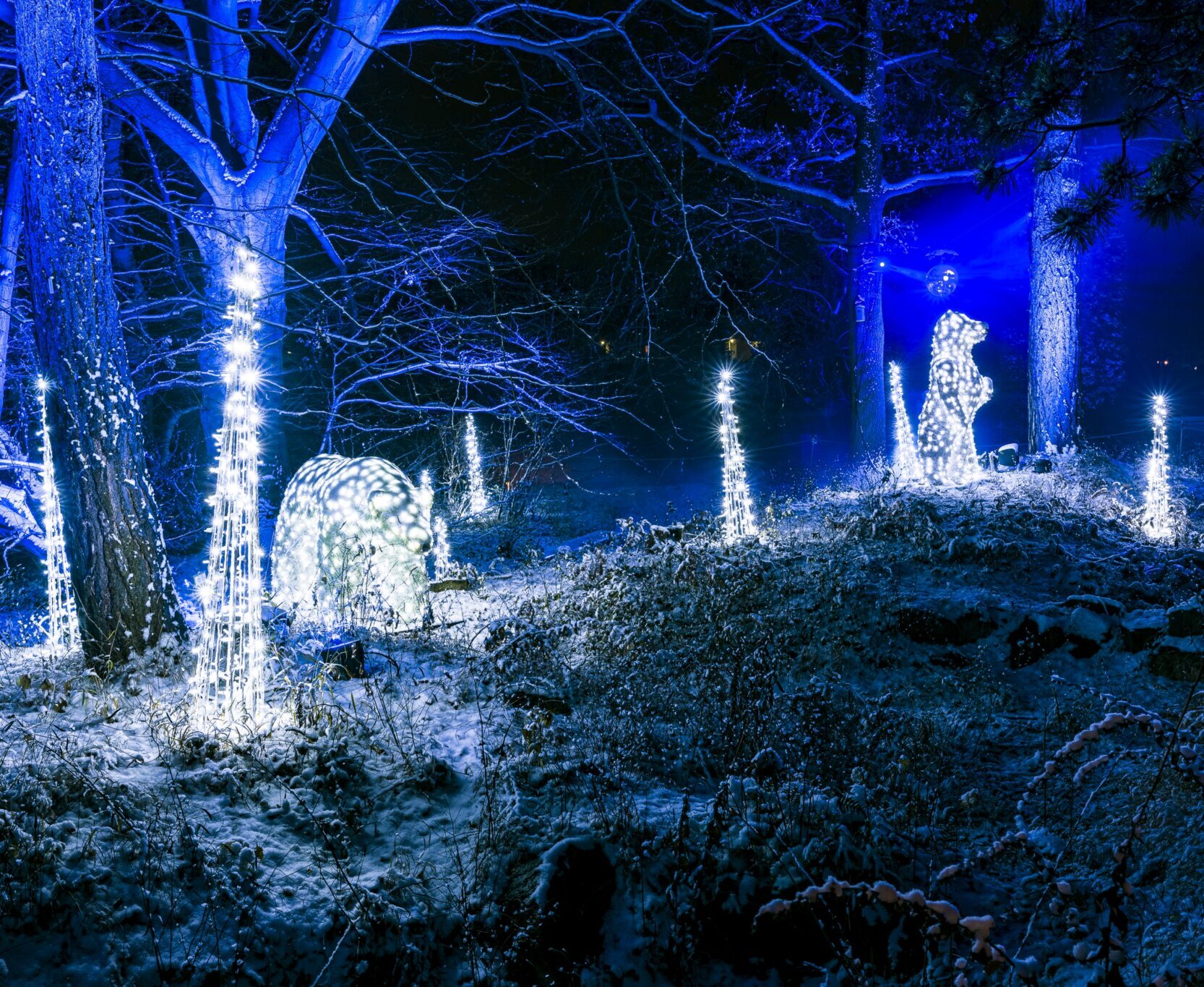 Christmas Garden lässt in der dunklen Jahreszeit Parks und Gärten erstrahlen (Archivbild aus Berlin).