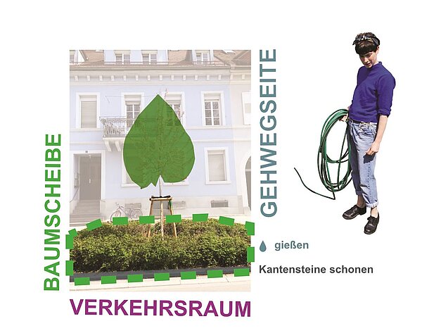 Verbildlichung einer reinen Baumpatenschaft