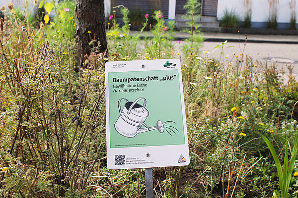 Schild vor Stauden der Beetpatenschaft