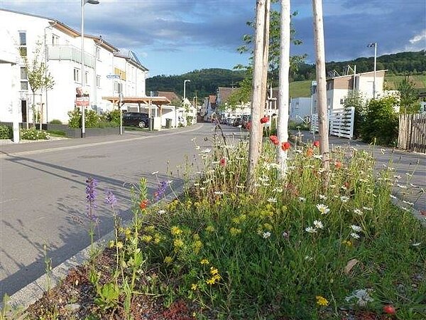 Baum am Straßenrand einer Wohnsiedlung