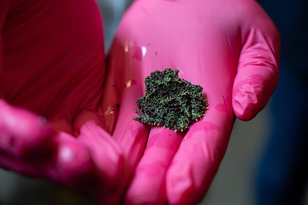 Eröffnung des "LebensRaum Vietnam" im Exotenhaus des Karlsruher Zoos, mit exotischen Tierarten aus Vietnam