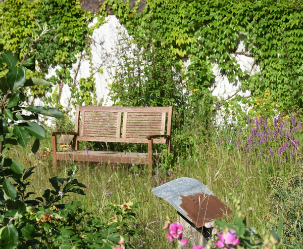Der naturnahe Hausgarten lockt mit seiner artenreichen Wildwiese viele Insekten an.