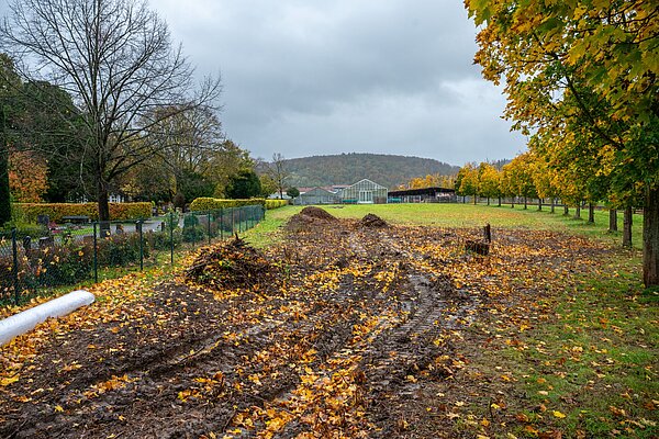 Erweiterungsfläche des Friedhofs Durlach-Aue