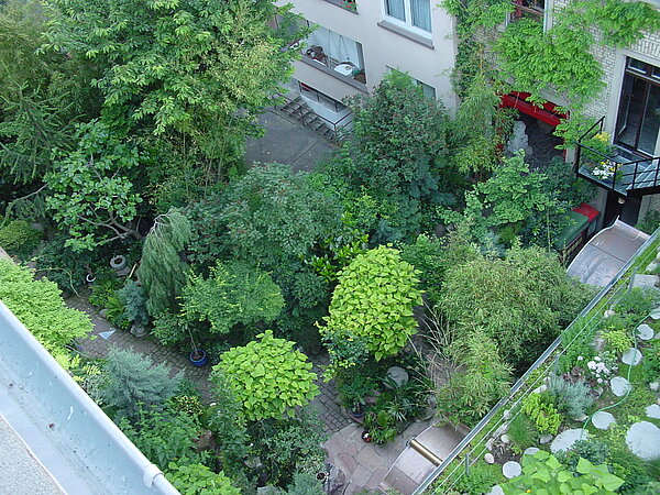 Bäume von oben im Pocket-Park