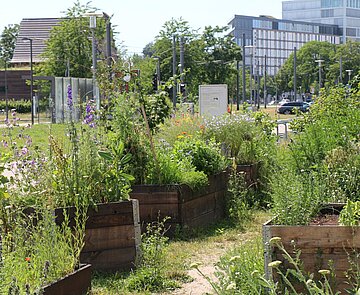 Fächergärtner am Marstall