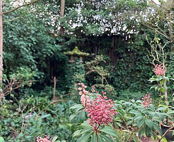 Offene Pforte - Der Florale