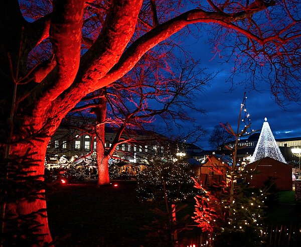 Atmosphärische Weihnachtsstimmung auf dem Friedrichsplatz bei der Waldweihnacht.