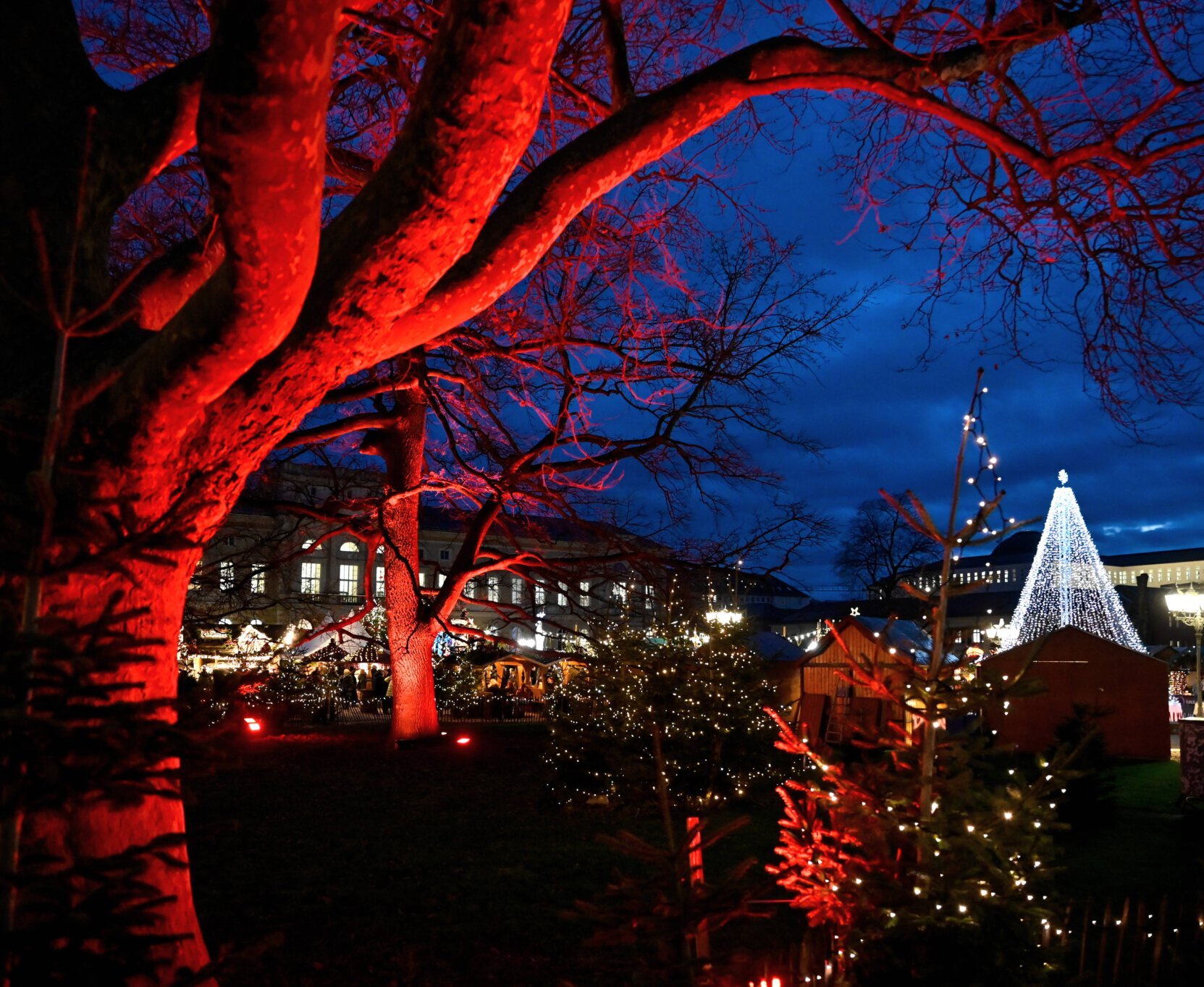 Atmosphärische Weihnachtsstimmung auf dem Friedrichsplatz bei der Waldweihnacht.