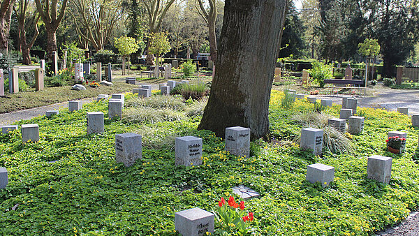 Grabareal Vier Jahreszeiten