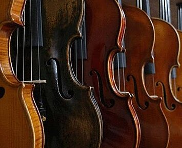 Viola