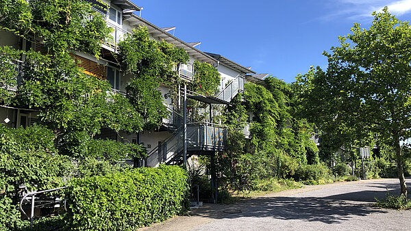 Fassadenbegrung in der Ökosiedlung Geroldsäcker