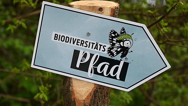 Biodiversitätspfad_Grötzingen