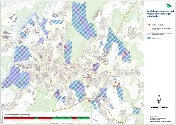 Amphibienwanderstrecken Karlsruhe